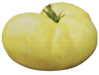Tomate Great White, Weiße Tomatensamen für den Garten, 10 Samen pro Packung
