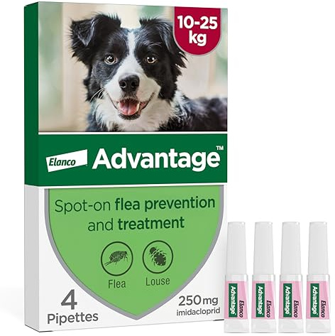 Advantage Spot On Flea Treatment For Large Dogs 10 - 25kg (4 pipettes, 250mg), Kills Fleas Within 24 Hours, Prevents Further Infestation For Up To Four Weeks
