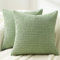 Topfinel Pack de 2 Fundas Cojines 40x40 cm en Pana Ultra Suaves para Sofá Diseño Moderno Ideal para Decoración de Primavera en Salón y Dormitorio - Verde Salvia