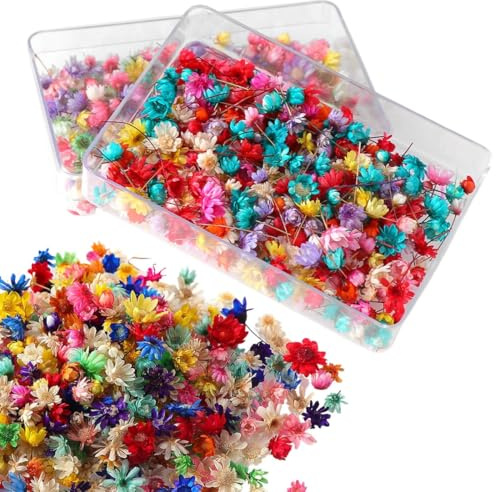 200 Pezzi Fiori Secchi Decorativi Fiori Secchi Fiori Secchi per Resina Fiori Secchi per Candele per Candele Profumate per Fare il Sapone fai da te Nail Art Custodia per Telefono Gioielli Orecchini