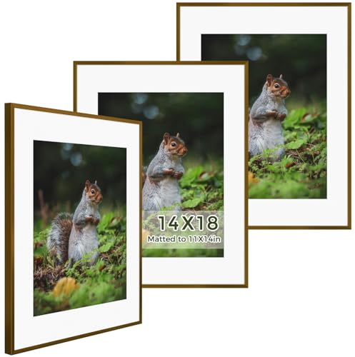 Golden State Art 14x18 Picture Frames 3 Pack with Real Glass & Removable Mats - Aluminum Frame for 14x18 Printsor 11x14 Photos with Mat - Bronze Gallery Wall Frames for Home Office Decor