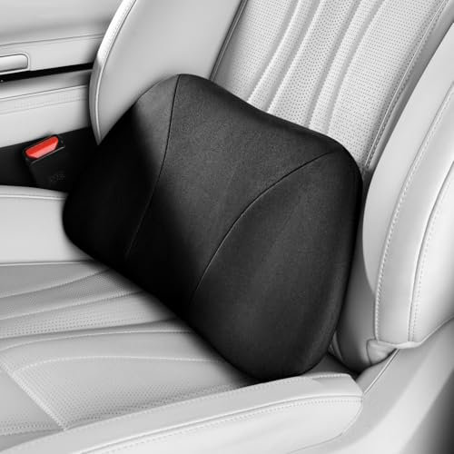 POKSRI Kissen lordosenstütze Auto,Rückenpijnlinderndes Kissen,Eng an der Taille anpassend,Memory Foam,Hautfreundliches Samtleder,Passend Für Auto,Büro & Ruhestuhl–Haltung verbessern,Tragbar,39x22cm