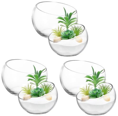 Kisangel 3 Juegos Maceta De Cristal Semicircular para Flores Hidropónicas Suculentas con Micropaisaje Plantas De Cactus Terrario Globo Tarro De Terrario Macetas Grandes Vidrio 2 Piezas * 3