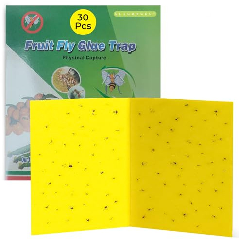 Elegancely Confezione da 30 trappole per moscerini della frutta per interni ed esterni, grandi 20 x 40 cm, cuscinetti adesivi per insetti e carta adesiva per uso domestico, cucina, giardino, cattura