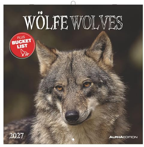 Wölfe 2027: Wandkalender 30x30 cm (30x60 cm geöffnet) mit Notizkalendarium, 12 Wolfsfotografien und Bucket-List