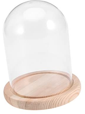 Cabilock Cúpula De Vidrio Flores Tapa Protectora Decorativa Ideal Para San Valentín