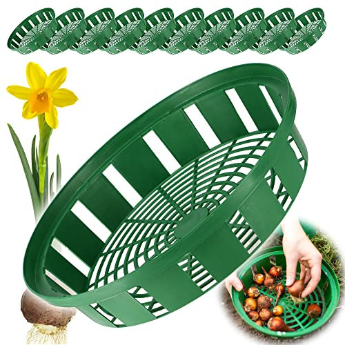 KADAX Lot de 10 paniers à bulbes en plastique - 2 formes - Pour floraison printanière - Rond - 30 cm