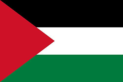 magFlags Bandera XXS Palestina | bandera horizontal | 0.24m² | 40x60cm