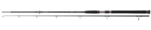 Daiwa Exceler CF Catfish Spin 2.70m -135g
