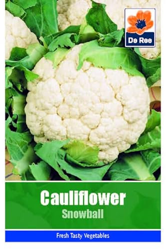 Vegetable Seeds for Growing Cauliflower Snowball 135 Seeds Grow Your Own Garden Vegetable Salad Herb Seed