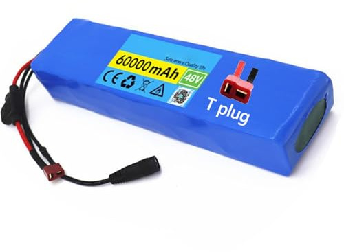 Batterie Lithium ION pour Vélo Électrique 48V 60Ah Batterie au Lithium pour Scooter Électrique 13S2P Batterie Haute Puissance 1000W E-Bike Vélo Électrique BMS + Chargeur 54.6V T Plug,48V 60Ah