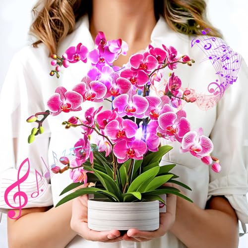 Birthday Cards for Women, Mothers Day Cards with Light and Music | Orchid Oasis,10 Inch Forever Flower Bouquet, Greeting Card, Thank You Cards Get Well Soon for Her Women Wife Daughter Sister
