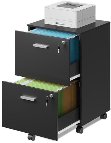 DEVAISE Rollcontainer abschließbar mit 2 Schubladen und offenen Fächern, Schreibtisch Schrank für Büro, Home Office, Rollcontainer Schwarz für DIN A4/Legal/Letter