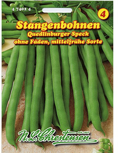 Stangenbohnen 'Quedlinburger Speck' mittelfrüh, grün, ohne Fäden