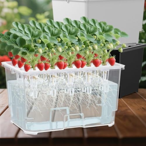 Grande scatola per piantare l'acqua con 15 fori per coltivare meno terreno interno, trasparente per monitorare le radici delle piante, progettata per banconi della cucina o davanzali (nero)