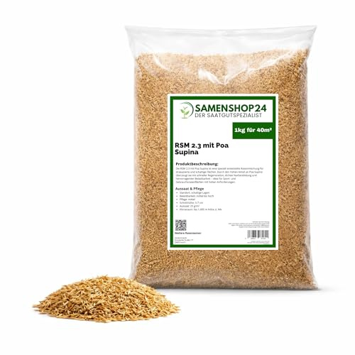 Samenshop24® | RSM-Rasensamen 2.3 mit Poa Supina | 1kg für 40m² | Gebrauchsrasen Spielrasen | für schattige feuchte Lagen