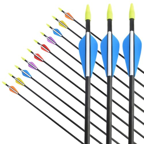 limaity 12pcs 31 Pfeile 700 Spine für Bogenschießen Glasfaser Bogenpfeile mit Kunststoffbefiederung Jagdpfeile für Recurvebogen und traditionellen im Freien (12St, Blau und weiß)