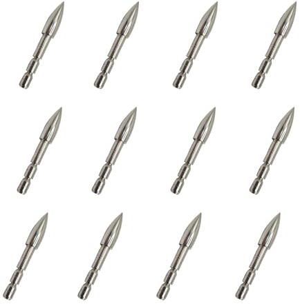 KURUGEILI 12 Pezzi Punte da Campo per Tiro con L'Arco 80 Grain Acciaio Inossidabile Punte Inseribili Sferiche Compatibili con Frecce Diametro Interno 4.2mm - Ideali per Pratica e Allenamento
