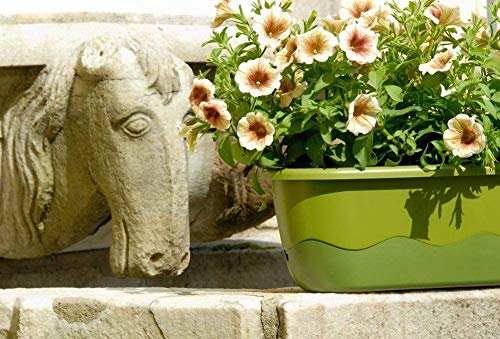 Plastia s.r.o. Blumenkasten Bewässerungskasten 'Mareta' 60 u. 80cm mit Selbstbewässerung, Farbe:Hell- und dunkelgrün, Größe/Durchmesser:80 cm
