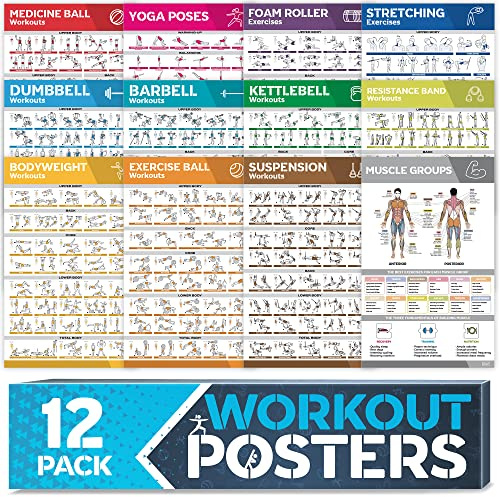 [12-pack] Laminerat stort träningsaffischset – perfekta träningsposter för hemmagym – träningsdiagram inkl. hantel, yogaposer, motståndsband, kettlebell, stretching och mer fitness gym affischer