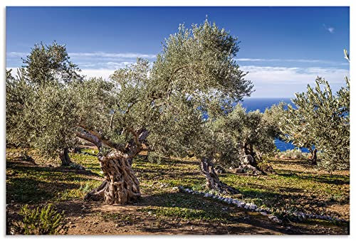 ARTland Wanddeko Wandbild Alu Verbundplatte für Innen & Outdoor Bild 60x40 cm Pflanzen Bäume Hain Oliven Meer Mediterran Mallorca Spanien U3SJ
