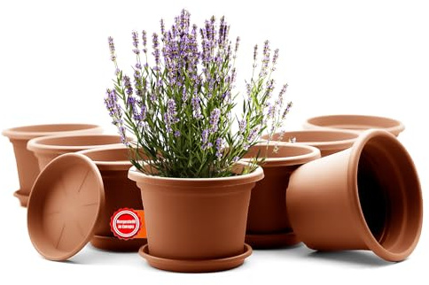 BigDean 8X Blumentopf mit Untersetzer rund ø 25 cm Terrakotta wetterfest | wetterfester Pflanzkübel Made in Europe