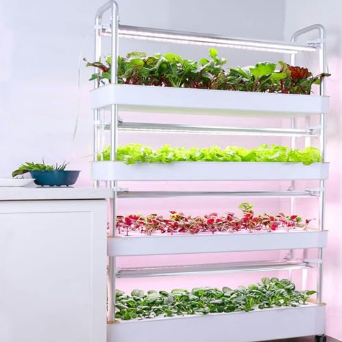 Sistema di Coltivazione idroponica con luci di Coltivazione a LED automatizzate, Coltivazione Verticale in Torre da Giardino Interna, Attrezzatura per Colture Intelligenti Multistrato su TER