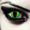 DESIGNLENSES, Farbige grüne Katzenaugen Halloween Kostüm Kontaktlinsen, 1 Paar (2 Stück),weiche Drachen Farblinsen ohne Stärke, Green Dragon