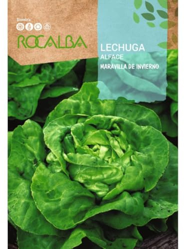 Semillas de Lechuga maravilla de invierno - Calidad y Versatilidad ?