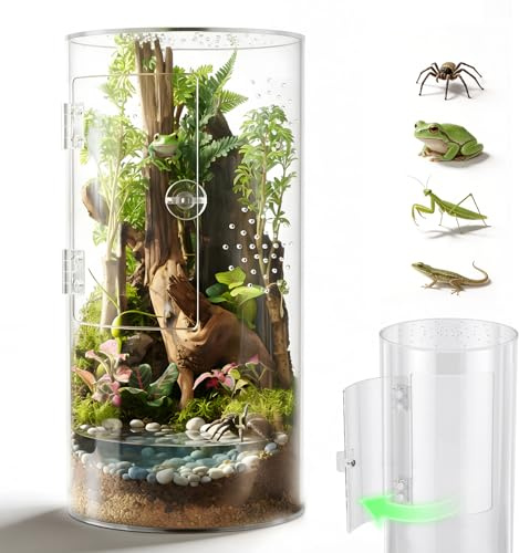 Zylindrisches Acryl Terrarium Springspinne Terrarium | 360° Panorama Paludarium mit Belüftung & seitlicher Tür Pflanzen Terrarium für Geckos & Baumfrösche Faunabox Terrarium Klein
