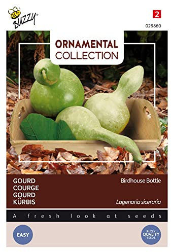 Buzzy Ornamental Squash Birdhouse Bottle - Content: Approx. 2.5 Grams