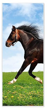 banjado® Magnettafel 30 x 75cm / Magnetwand aus Metall/Magnetpinnwand als Memoboard/Pinnwand Magnettafel Küche, Büro, Kinderzimmer inkl. 4 Magnete & Montageset - Motiv Pferd