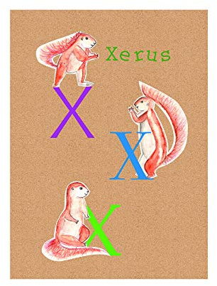 Komar Wandbild | ABC Animal X | Poster, Kinderzimmer, Buchstaben, Bild, Wohnzimmer, Schlafzimmer, Dekoration, Kunstdruck | ohne Rahmen | P036X-40x50 | Größe: 40 x 50 cm (Breite x Höhe)