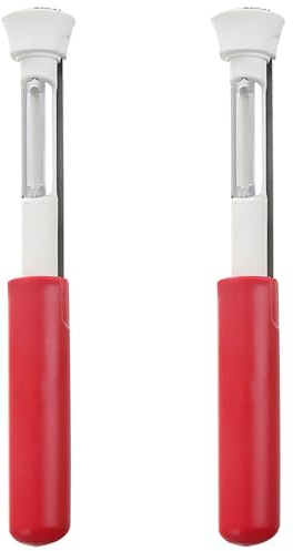 DIYEAH 2 Pezzi di estrattore per Frutta e Verdura: sbucciatore per Mele in Acciaio Inossidabile - estrattore per noccioli Portatile Multifunzionale per Mango, Fragola, Ananas