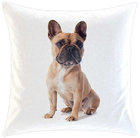 Kissen/weiches Kuschelkissen mit Füllung 40x40cm - Motiv: Französische Bulldogge braun sitzend | 019