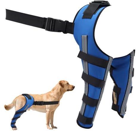 Générique Hüftschiene für Hunde | Knieschützer für die Pfote – für Mobilität, Erholung von Verletzungen und Rehabilitation