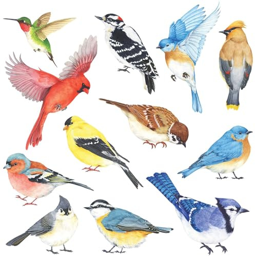 DECOWALL DS2-8042 Pequeñas aves (Pequeña) Vinilo Pegatinas Decorativas Adhesiva Pared Dormitorio Saln Guardera Habitaci Infantiles Nios Bebs