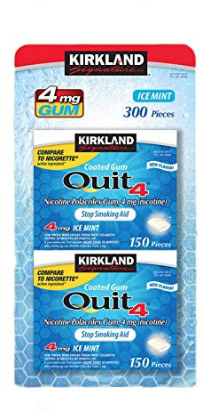 Kirkland Signature Quit Ice Mint Gum 4 mg, 300 Pieces