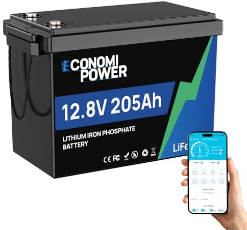 EconomiPower Lithium Batterie 12V 200Ah(205 Ah) 2624 Wh 200 A BMS intégré jusqu'à 15 000 cycles, durée de vie de 10 ans – Idéal pour camping-car, installation solaire, marine et hors réseau