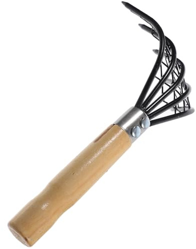 Rastrello in Acciaio Inox per Arselle con Manico in Legno Nero | 1 Pezzo, Struttura Robusta e Resistente All’usura, per Scavo di Molluschi e Uso in Mare