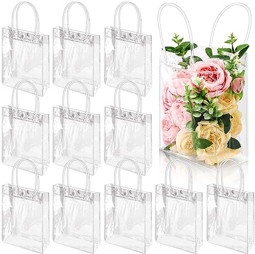EXTRAPINS 24 Stück Klare Geschenktüten mit Griffen,Wiederverwendbare Tragetaschen,Geschenktaschen Transparent,Geschenktüten Transparent für Shopping Hochzeit Geburtstag Babyparty(20x15x7 cm)