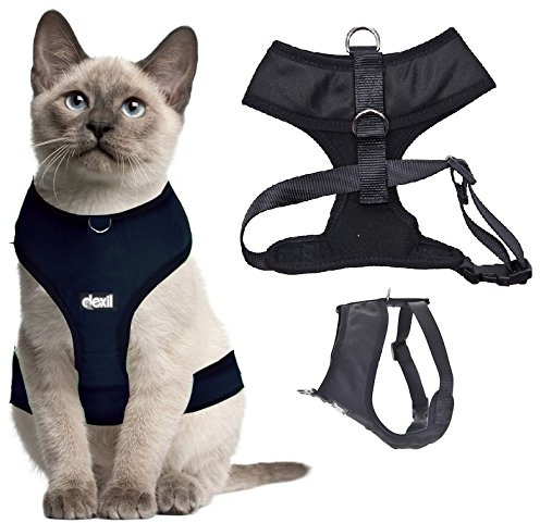 dexil Luxus-Katzen-Geschirr gepolstert und wasserabweisend