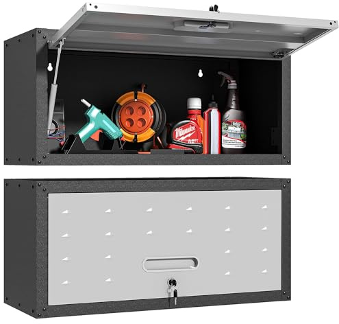 BIZOEIRON Armoire Murale de Garage avec Porte Rabattable, Armoire de Rangement en métal verrouillable, Armoire à Outils Suspendue pour Garage, Cave et buanderie