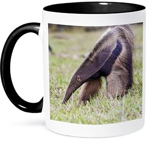 Brasil Mato Grosso Do Sul, Cerca De Bonito Oso Hormiguero Gigante. Mug Con Asa Taza De Café Chic Taza Para Oficina Cacao Hogar 330Ml