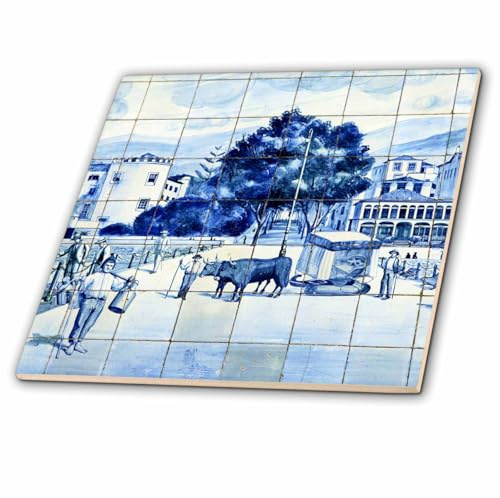 3dRose Portugal, Madeira, Painted Glazed Tiles of a Facade - EU23 KWI0031 - Kymri Wilt 12 Inch Ceramic Tile