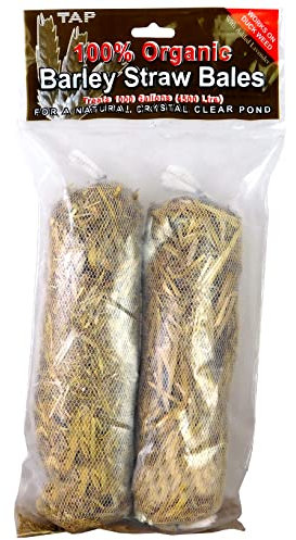 TAP Pond Barley Straw Algae Control DuckWeed Water Treatment Dual Pack (Single (2 Bales))