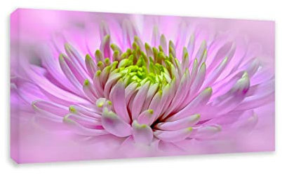 Apcgsm Bilder Blumen Dahlie Rosa - Leinwandbilder Blumen Kunstdruck - Bild auf Leinwand - Modern Wohnzimmer Wandbilder Wanddekoration - Wand Bild Landschaft Natur 60x108cm(23.6x42.5) Rahmenlos