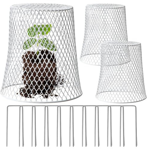 LINXIU Campane per piante da giardino in filo di pollo, copertura protettiva per piante con paletti da giardino, gabbia in metallo, protezione da animali da giardino, confezione da 3