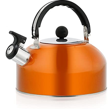 Masyrt Bouteille de camping sifflante en acier inoxydable de 3 L - Bouilloire légère pour cuisinière à gaz, bouilloire de voyage avec poignée pliable et bec verseur rabattable pour camping, pêche