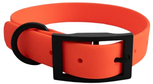 Hundehalsband aus Biothane, abwaschbar, geruchsneutral und pflegeleicht für kleine bis mittelgroße Hunde (Orange, S)